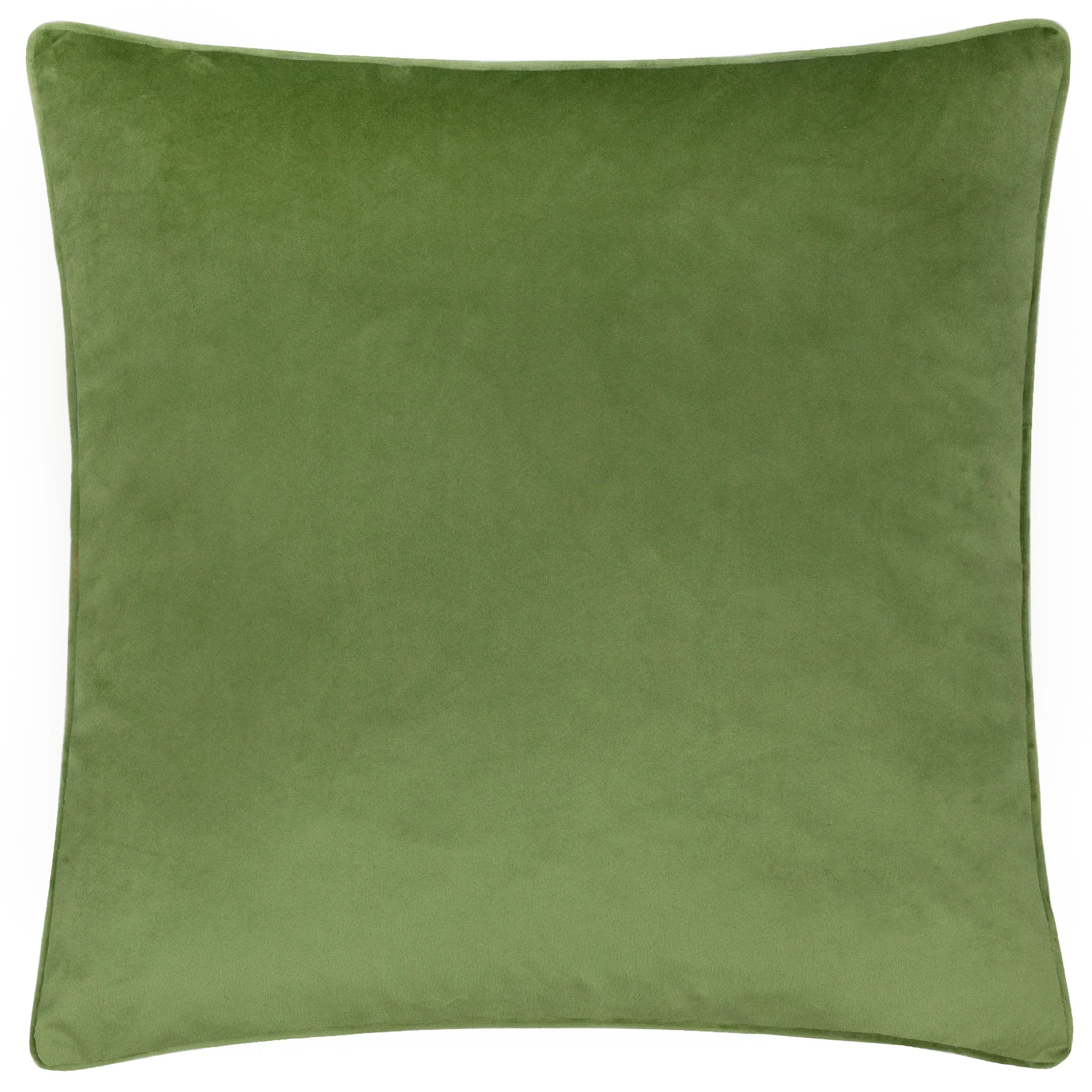 Evans Litchfield (Riva Home) Evans Lichfield Cushion DAISY HILL CHARLIE PRINTED CUSHION MULTI GREEN by Evans Lichfield