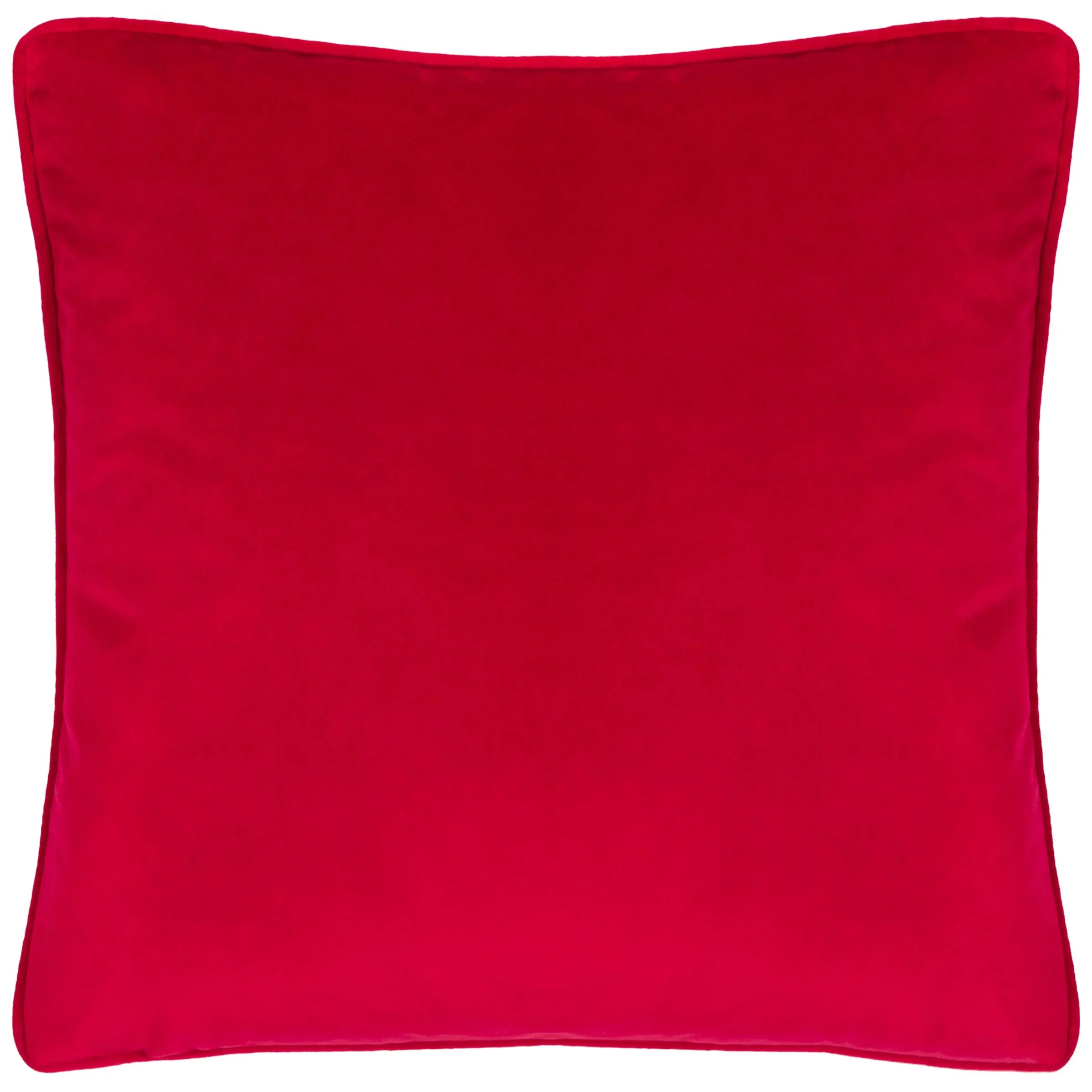 Evans Litchfield (Riva Home) Evans Lichfield Cushion ๐ Winter Garden Printed Cushion โ Multicolour by Evans Litchfield