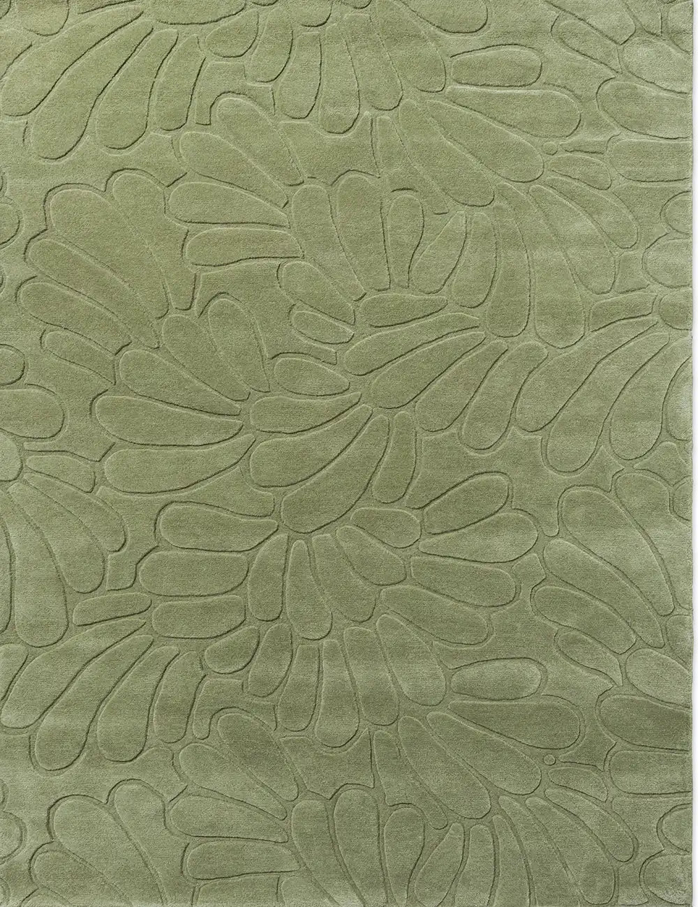 Laura Ashley (Brink & Campman) Designer Rugs LAURA ASHLEY COLEBY PETALS AREA RUG by Brink & Campman