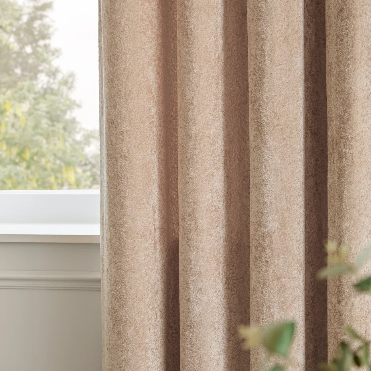 Paoletti (Riva Home) Curtains LUSTRE VELVET FULLY LINED EYELET CURTAINS OYSTER by Paoletti
