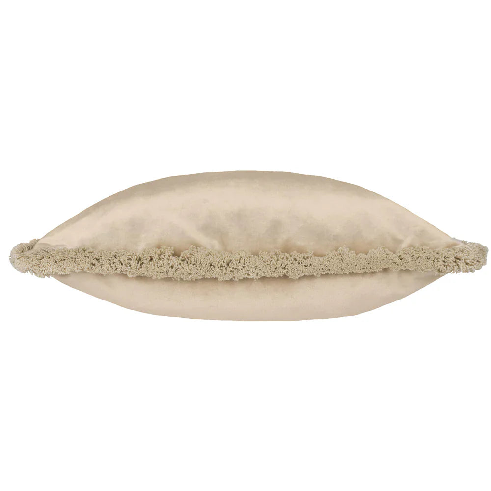 Paoletti (Riva Home) Cushions FREYA VELVET CUSHION by Paoletti