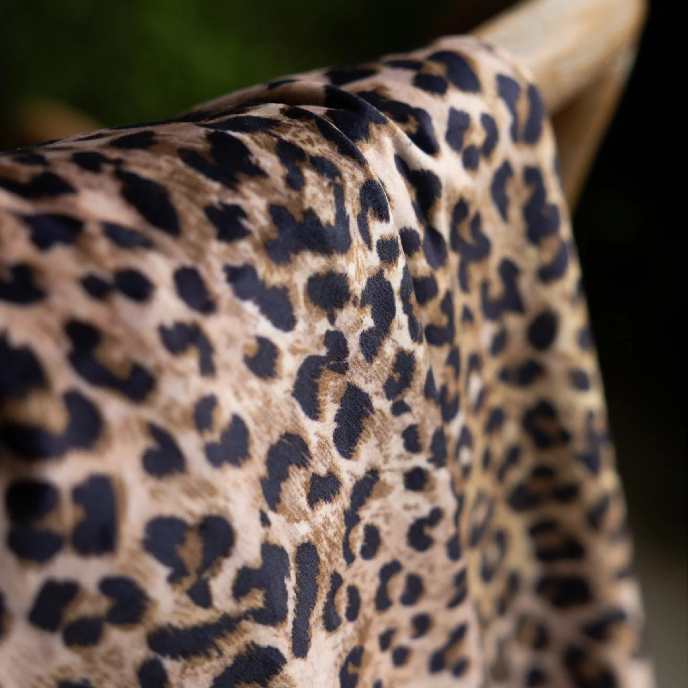 Rockett St George (Riva Home) Bedspread/Throw LEOPARD LOVE VELVET TASSELLED THROW - BLACK by Rockett St George