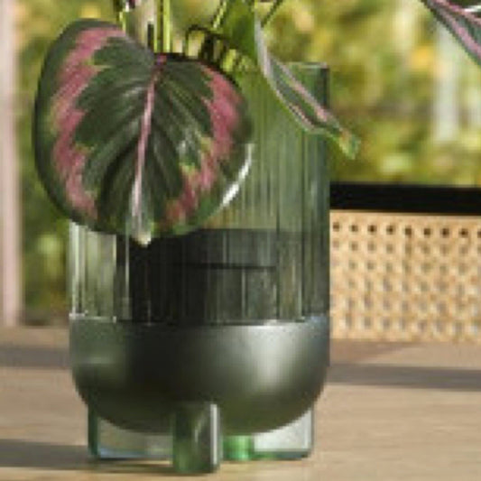 simply HAZEL Interior Design Range Glass Vase (Green Tinted)