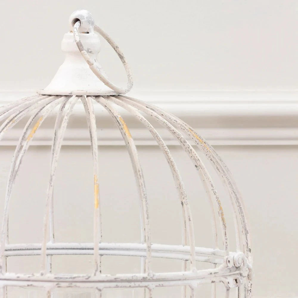 Voyage Maison (Riva Home) Voyage Maison Artwork Voyage Maison Fleur Et Faune Metal Floral Lantern White