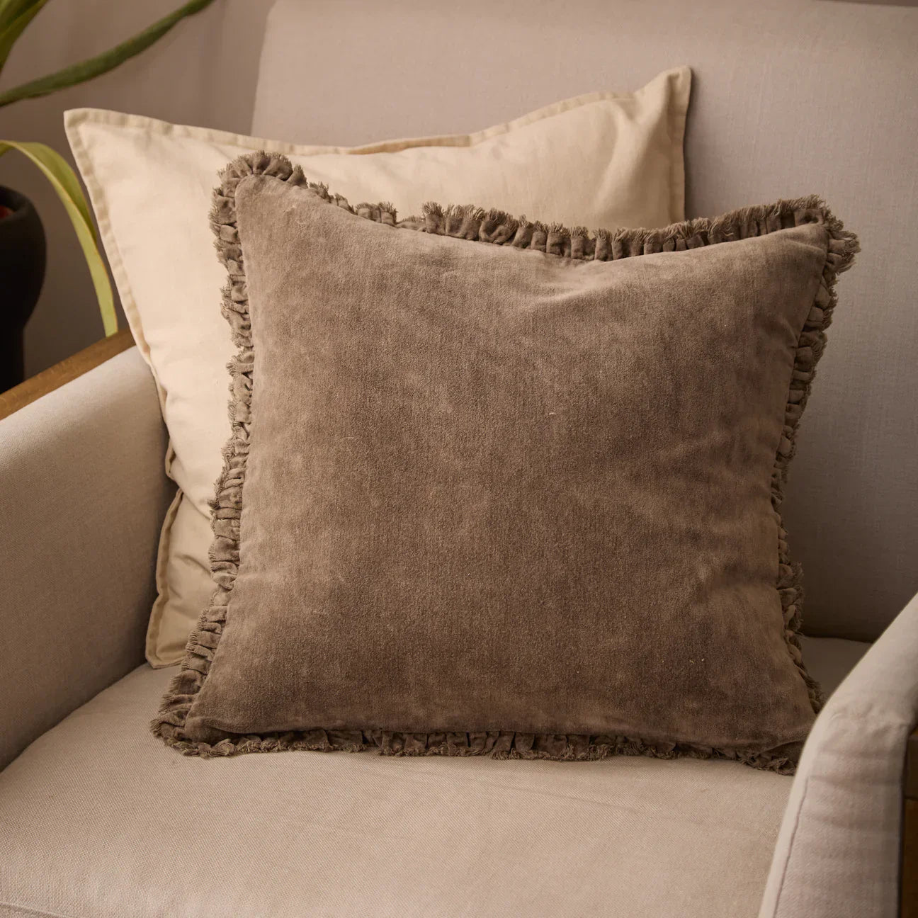 Yard (Riva Home) Cushions Chocolate BERTIE WASHED COTTON VELVET CUSHION by Yard