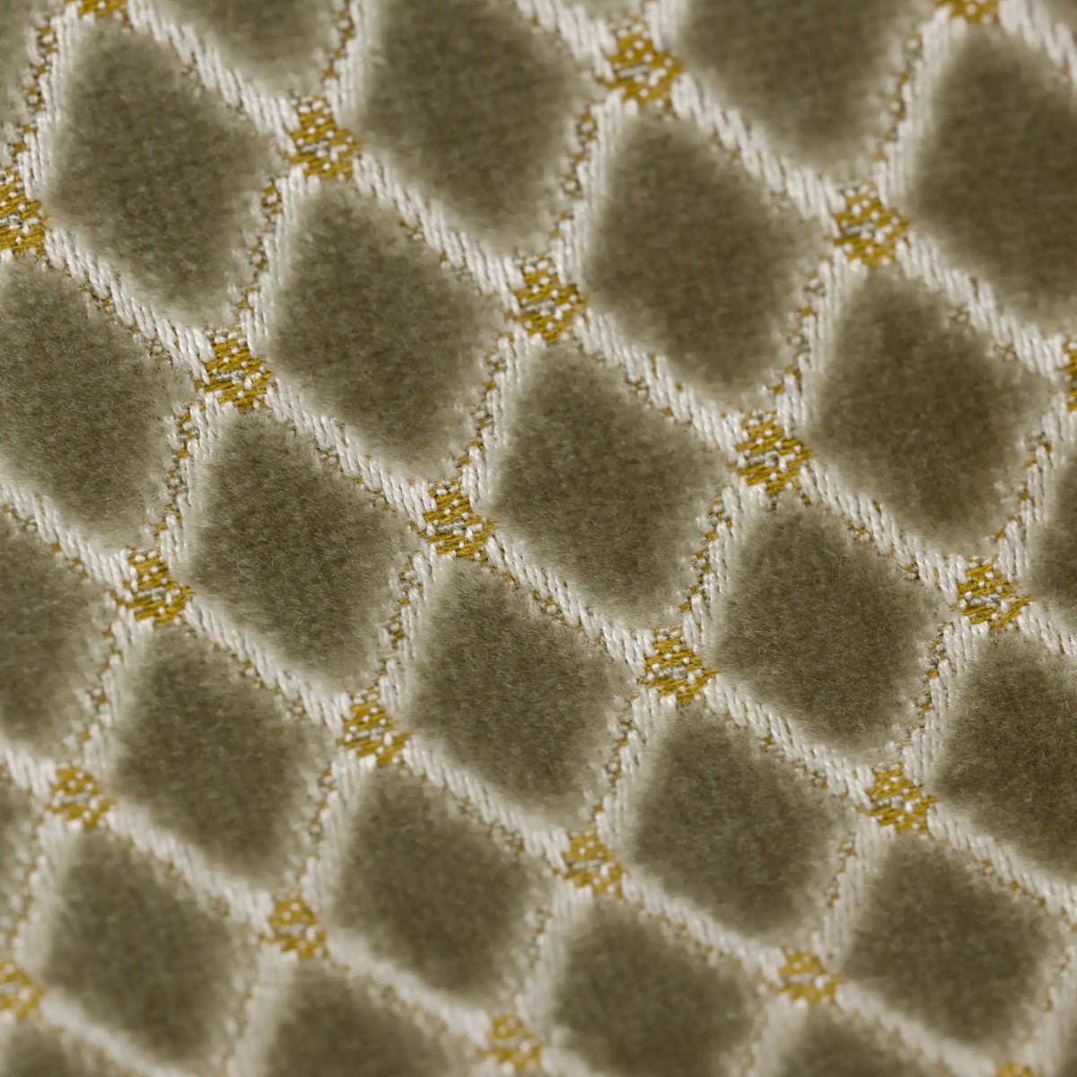 MONACO CUSHION by Scatter Box
