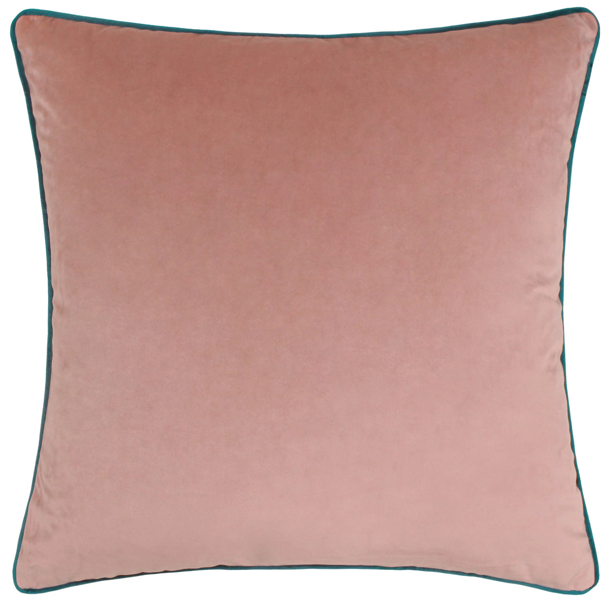 MERIDIAN VELVET FEATHER-FILLED CUSHION by Furn