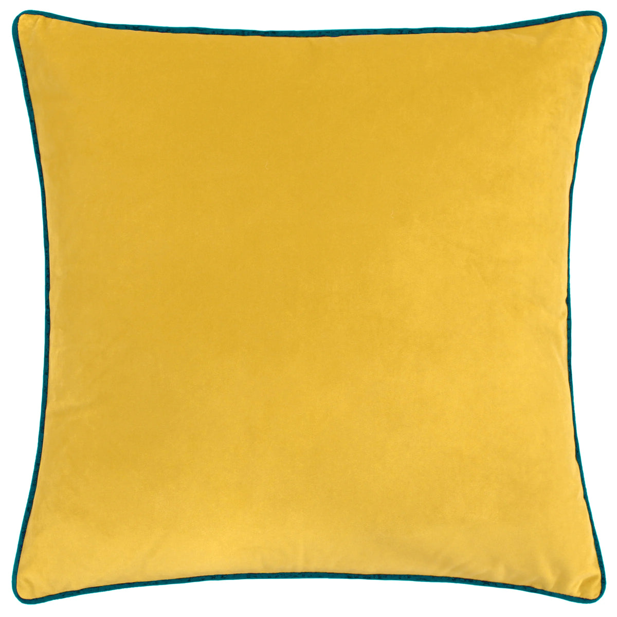 MERIDIAN VELVET FEATHER-FILLED CUSHION by Furn