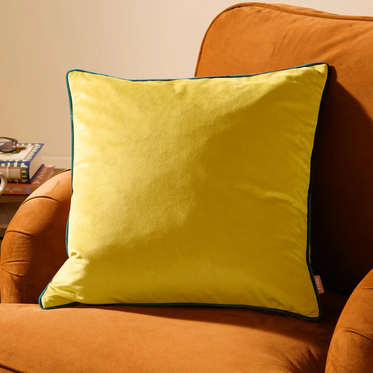 MERIDIAN VELVET FEATHER-FILLED CUSHION by Furn