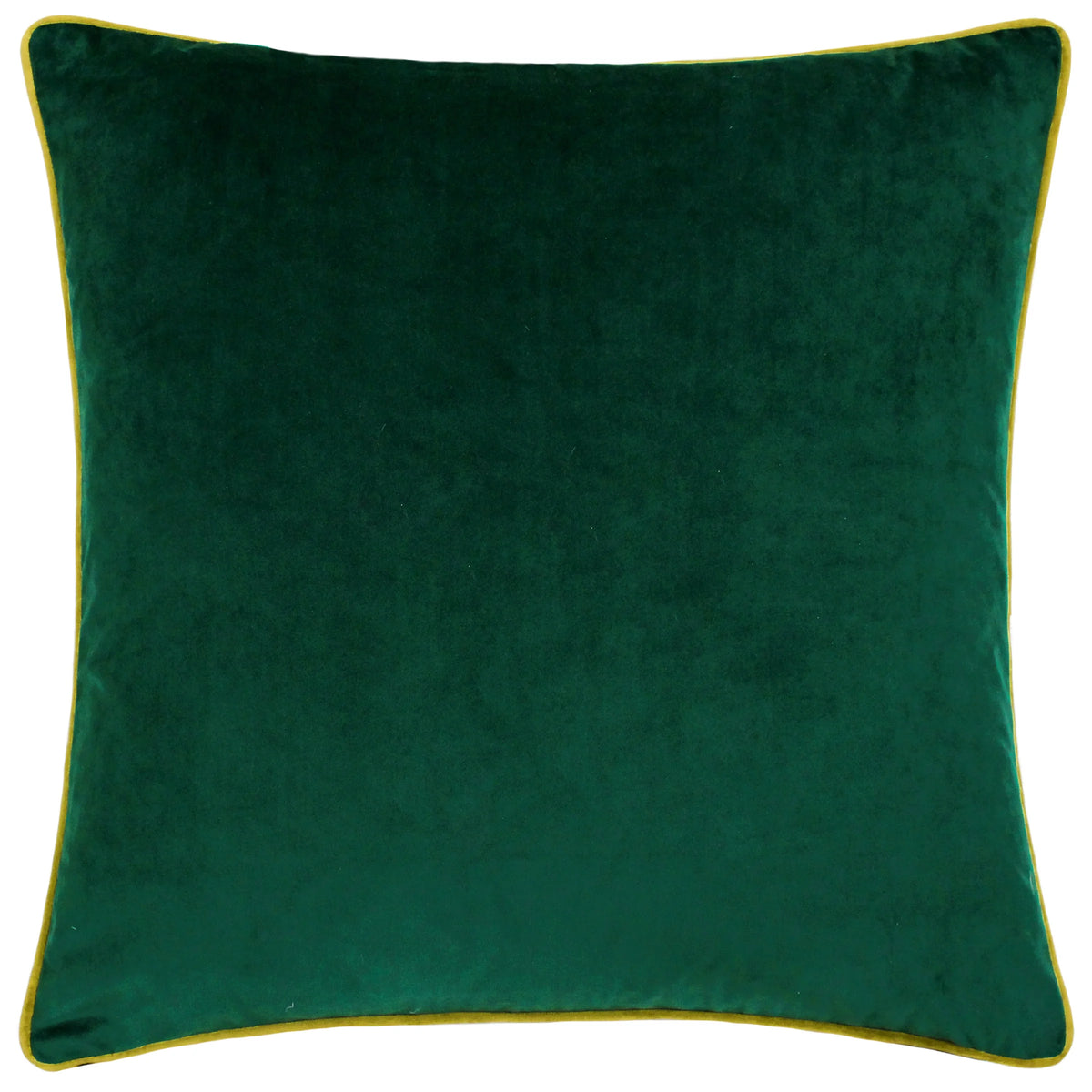 MERIDIAN VELVET FEATHER-FILLED CUSHION by Furn
