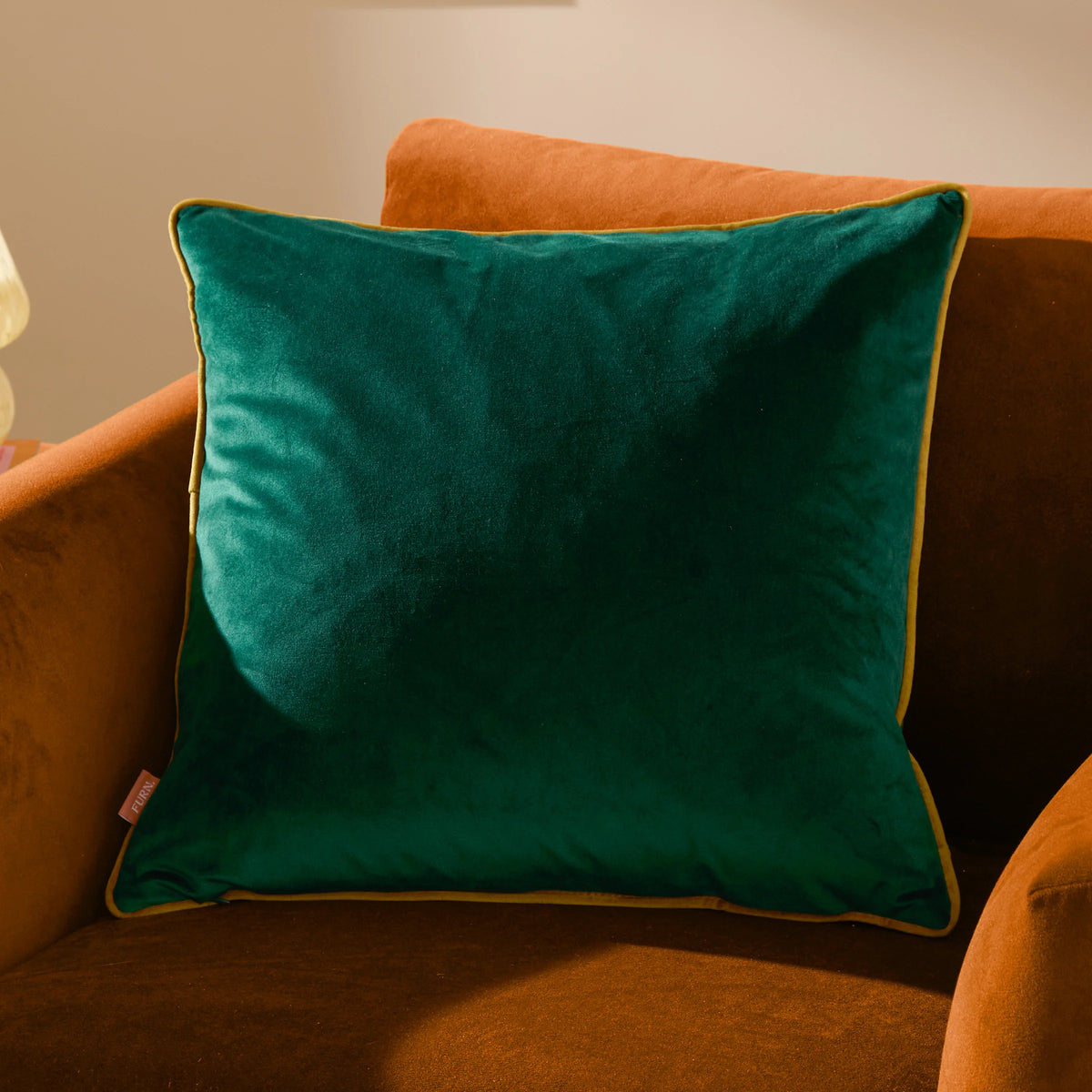 MERIDIAN VELVET FEATHER-FILLED CUSHION by Furn