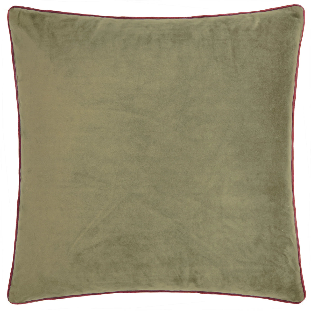 MERIDIAN VELVET FEATHER-FILLED CUSHION by Furn