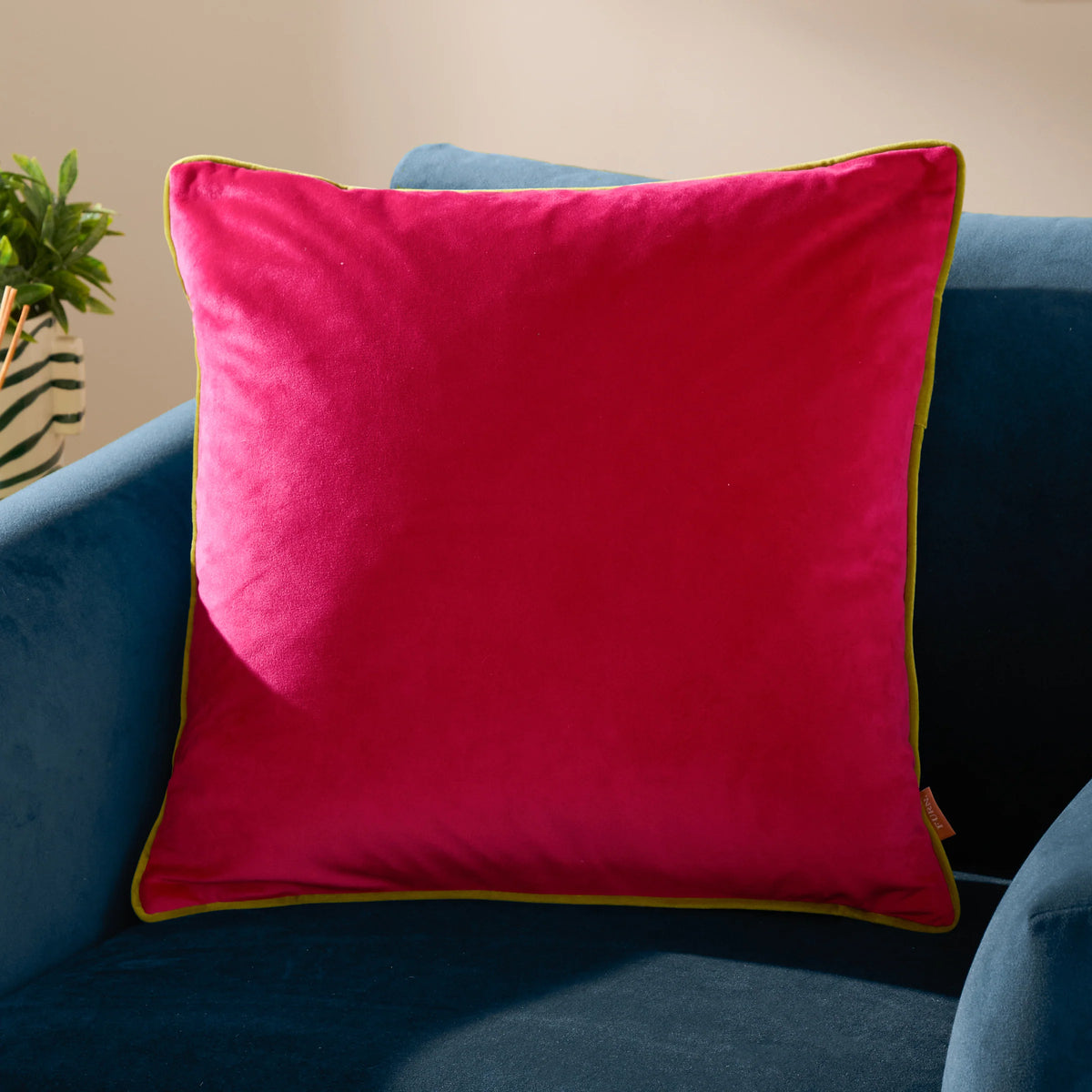 MERIDIAN VELVET FEATHER-FILLED CUSHION by Furn
