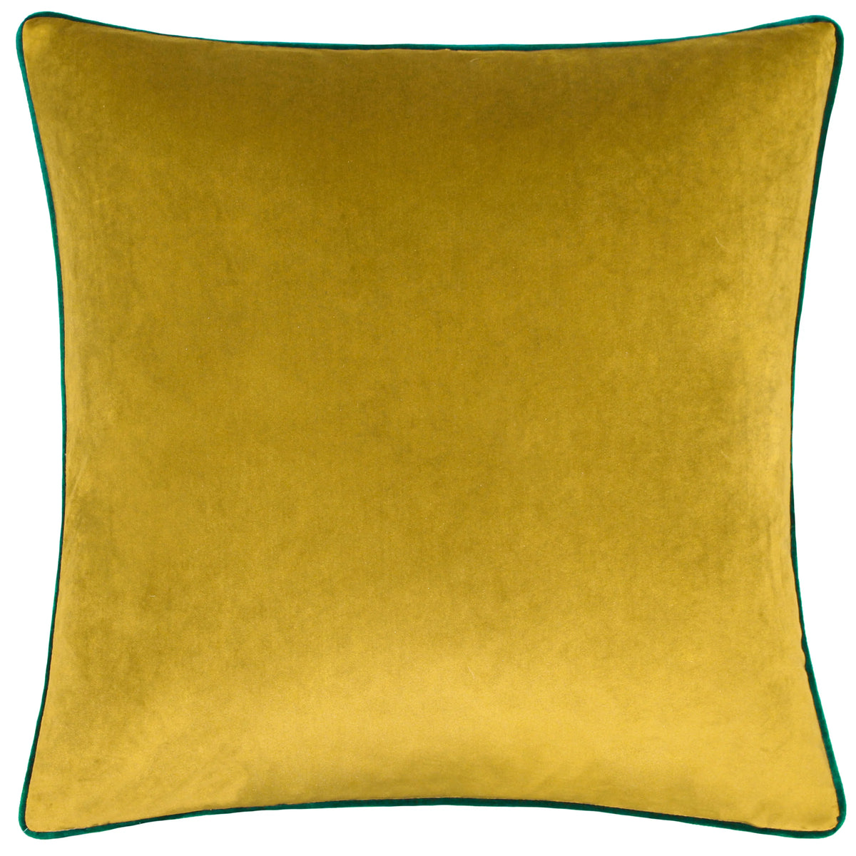 MERIDIAN VELVET FEATHER-FILLED CUSHION by Furn