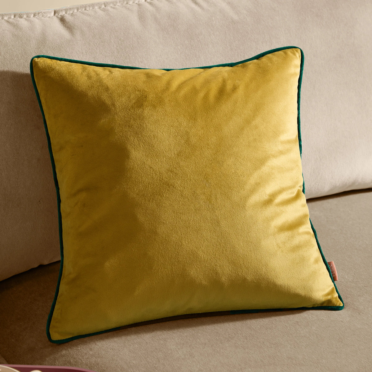 MERIDIAN VELVET FEATHER-FILLED CUSHION by Furn