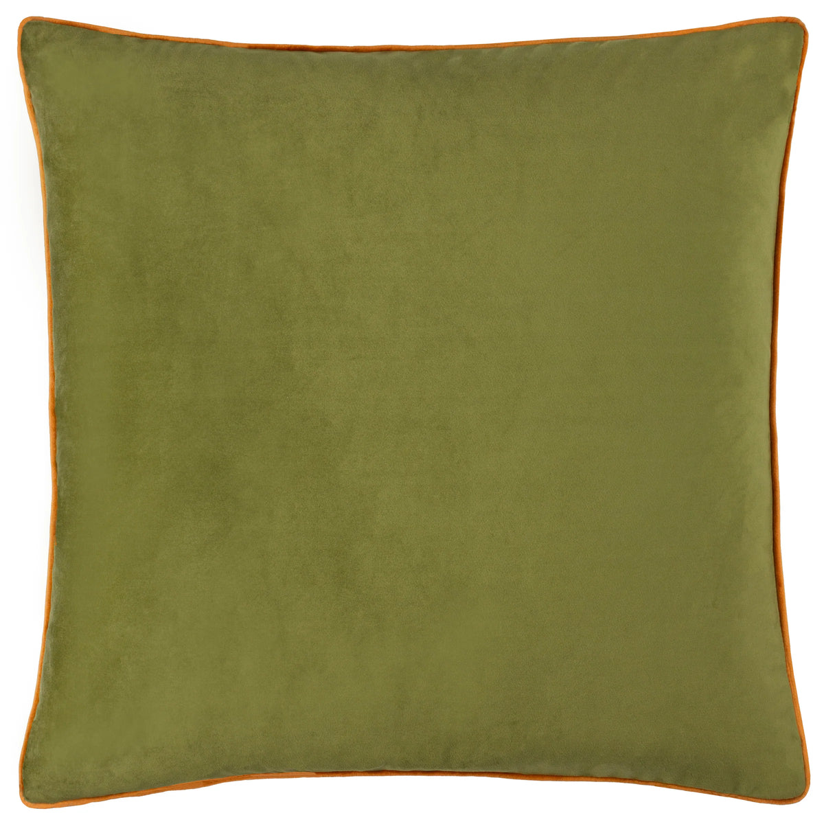 MERIDIAN VELVET FEATHER-FILLED CUSHION by Furn