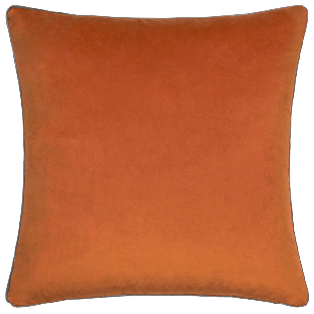 MERIDIAN VELVET FEATHER-FILLED CUSHION by Furn
