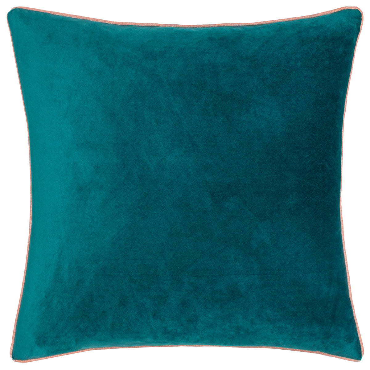 MERIDIAN VELVET FEATHER-FILLED CUSHION by Furn