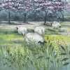 Camelot Print Blossom Meadow II