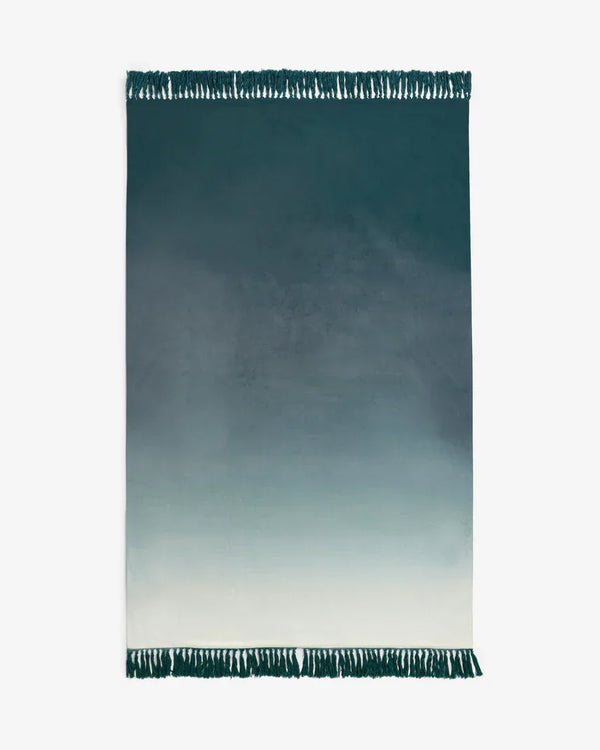 BLOOM OMBRE VELVET THROW by Clarke & Clarke