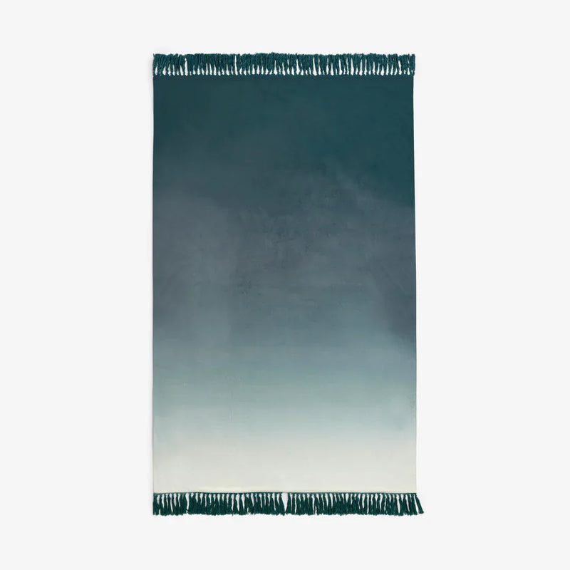 BLOOM OMBRE VELVET THROW by Clarke & Clarke