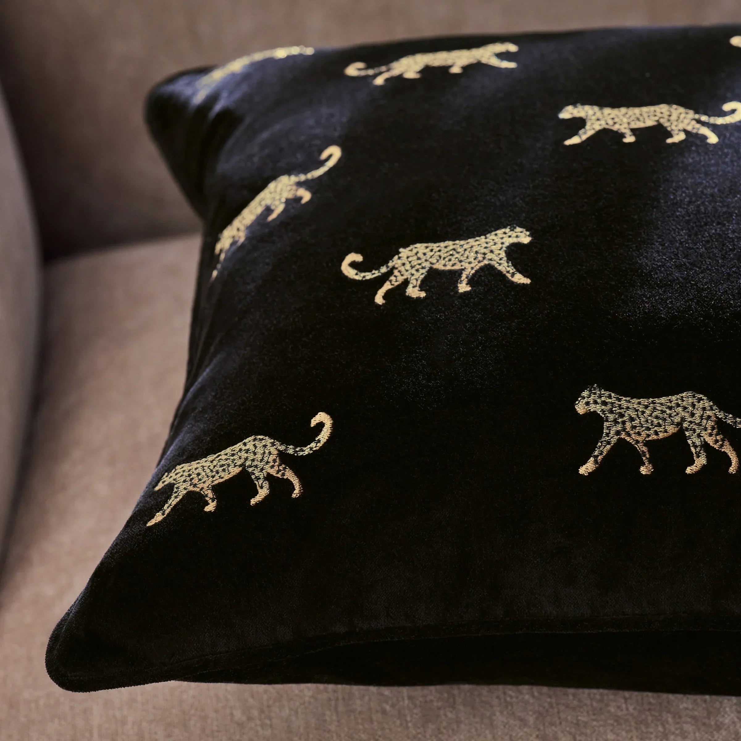 Clarke & Clarke Cushions DUMA EMBROIDERED VELVET CUSHION NOIR  by Clarke & Clarke