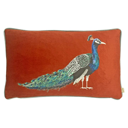 Evans Litchfield Cushions Premium Peacock Rectangular feather filled Cushion in Sunset by Evans Lichfield