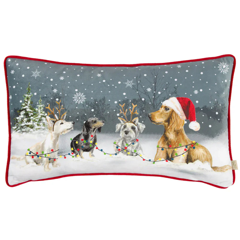 🐶 Christmas Dog Cushion by Evans Litchfield