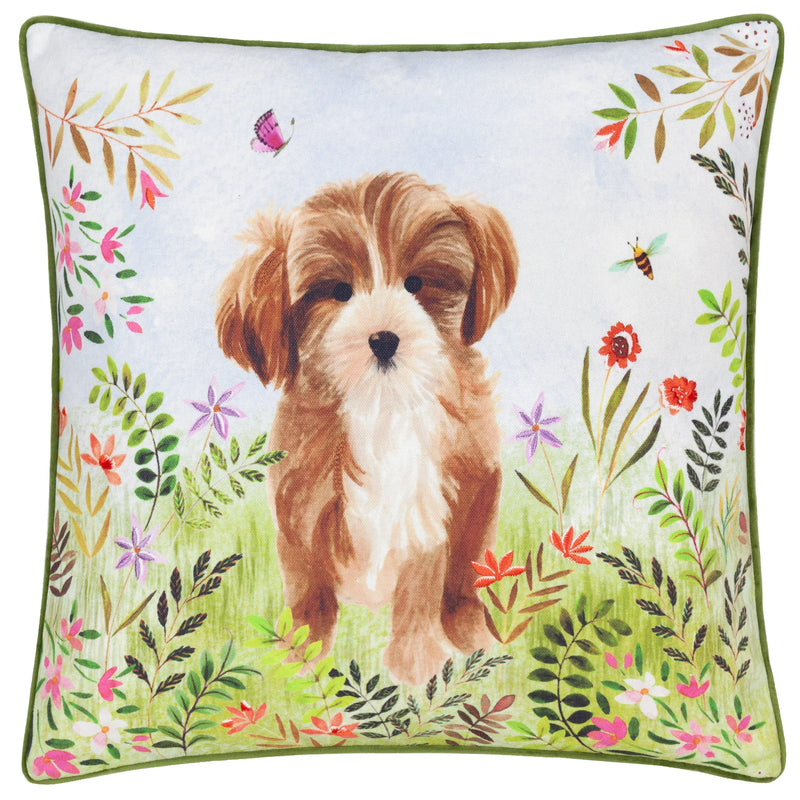 DAISY HILL CHARLIE PRINTED CUSHION MULTI GREEN  by Evans Lichfield