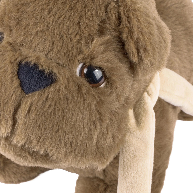 Buddy Bulldog Door Stop Brown by Furn