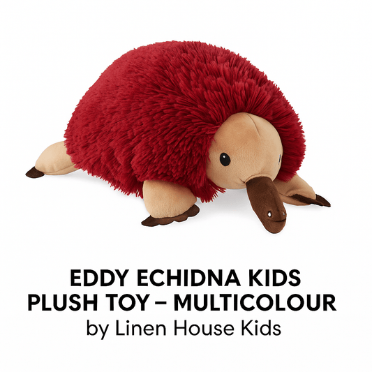 Linen House (Riva Home) Plush Toy EDDY ECHIDNA KIDS PLUSH TOY – MULTICOLOUR by Linen House Kids