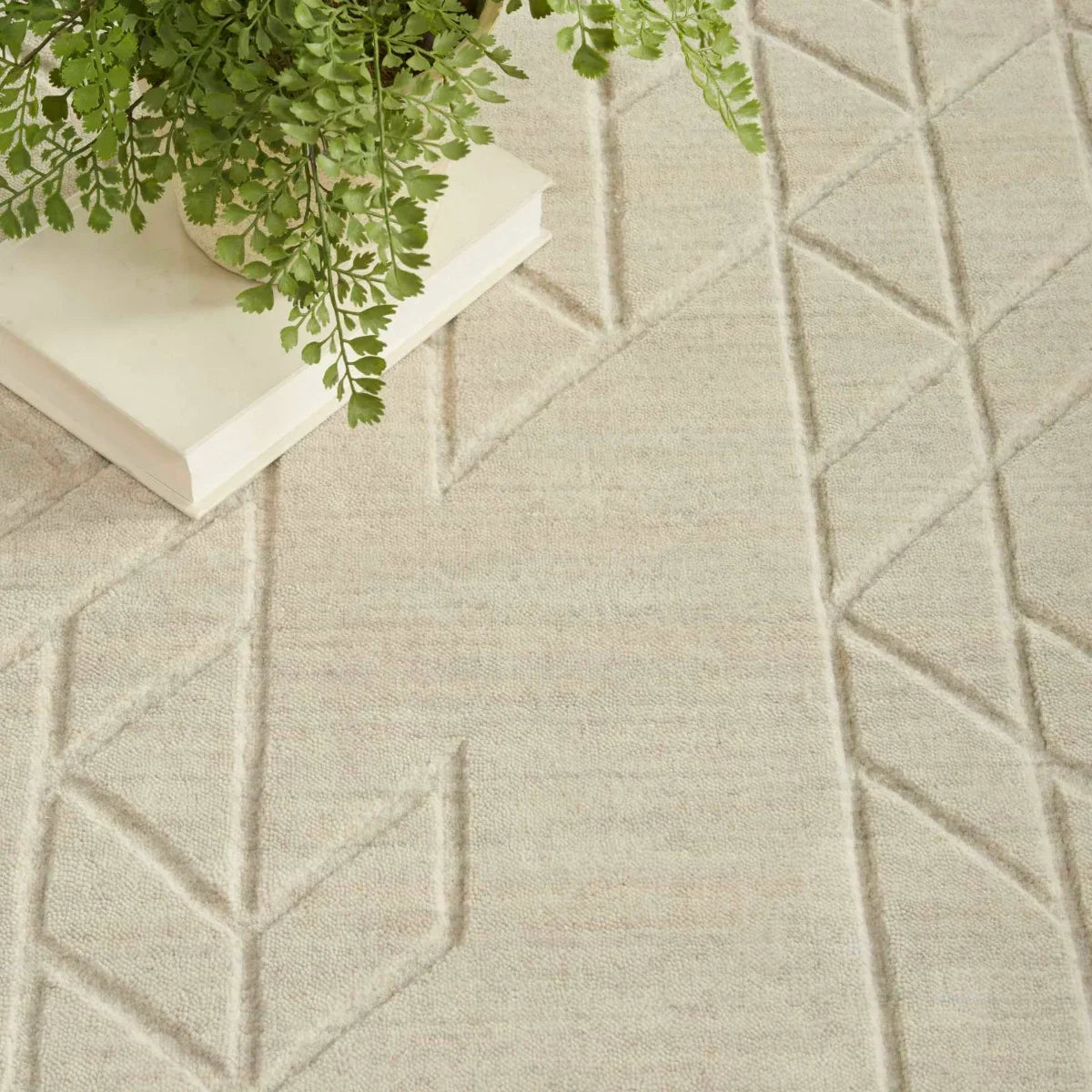 Nourison & Home Designer Rugs 2' x 3' (61cm x 91cm) / Ivory ALESSIA AREA RUG by Nourison