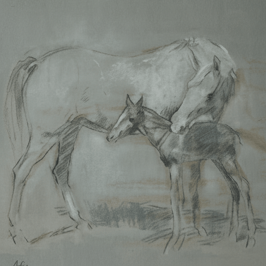 Original Irish Art Print MARE AND FOAL GREY FRAMED PRINT by Original Irish Art