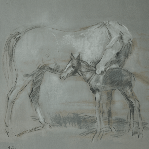 MARE AND FOAL GREY FRAMED PRINT by Original Irish Art