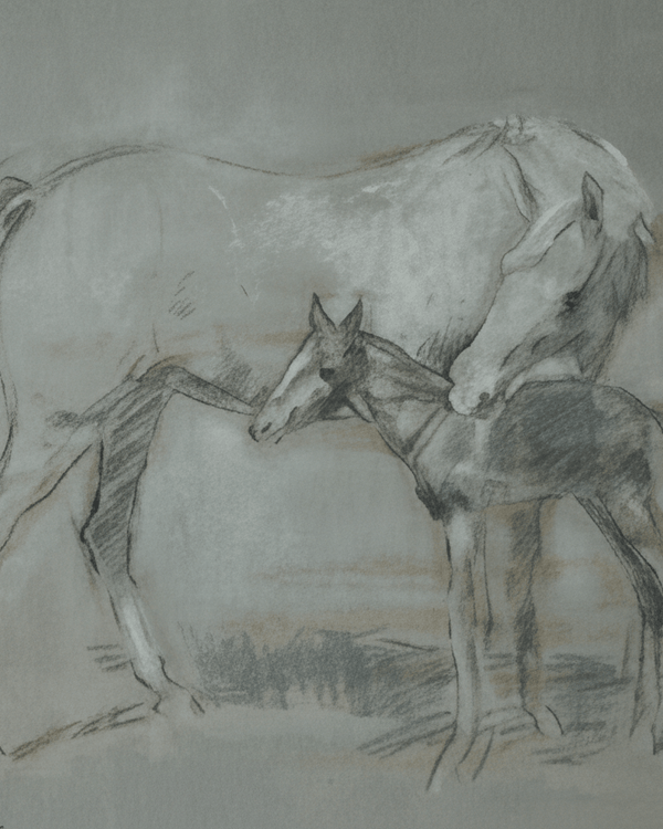 MARE AND FOAL GREY FRAMED PRINT by Original Irish Art