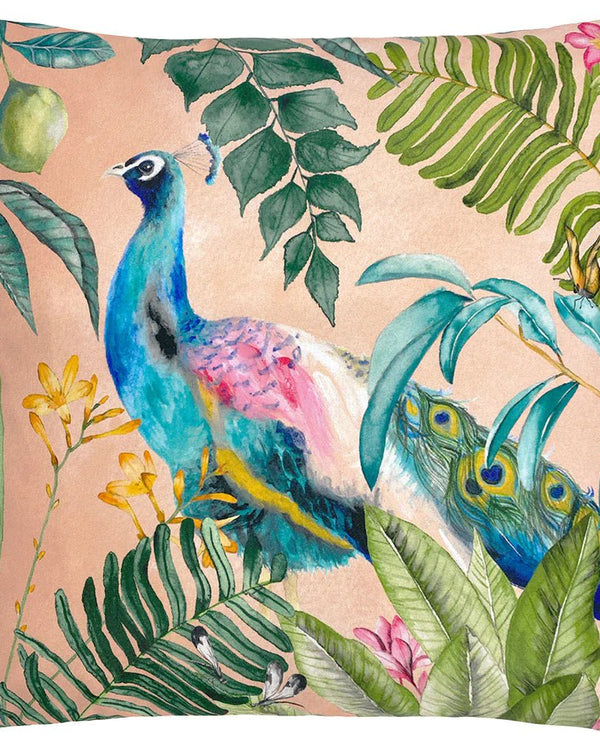 Peacock Outdoor Cushion Blush by Evans Lichfield