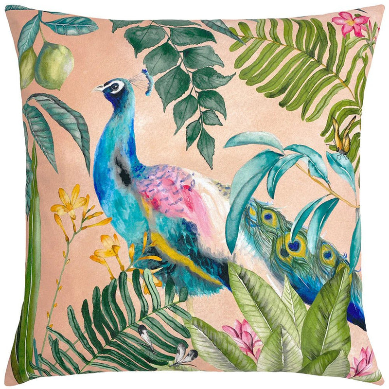 Peacock Outdoor Cushion Blush by Evans Lichfield