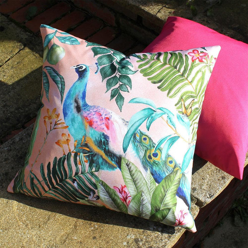 Peacock Outdoor Cushion Blush by Evans Lichfield