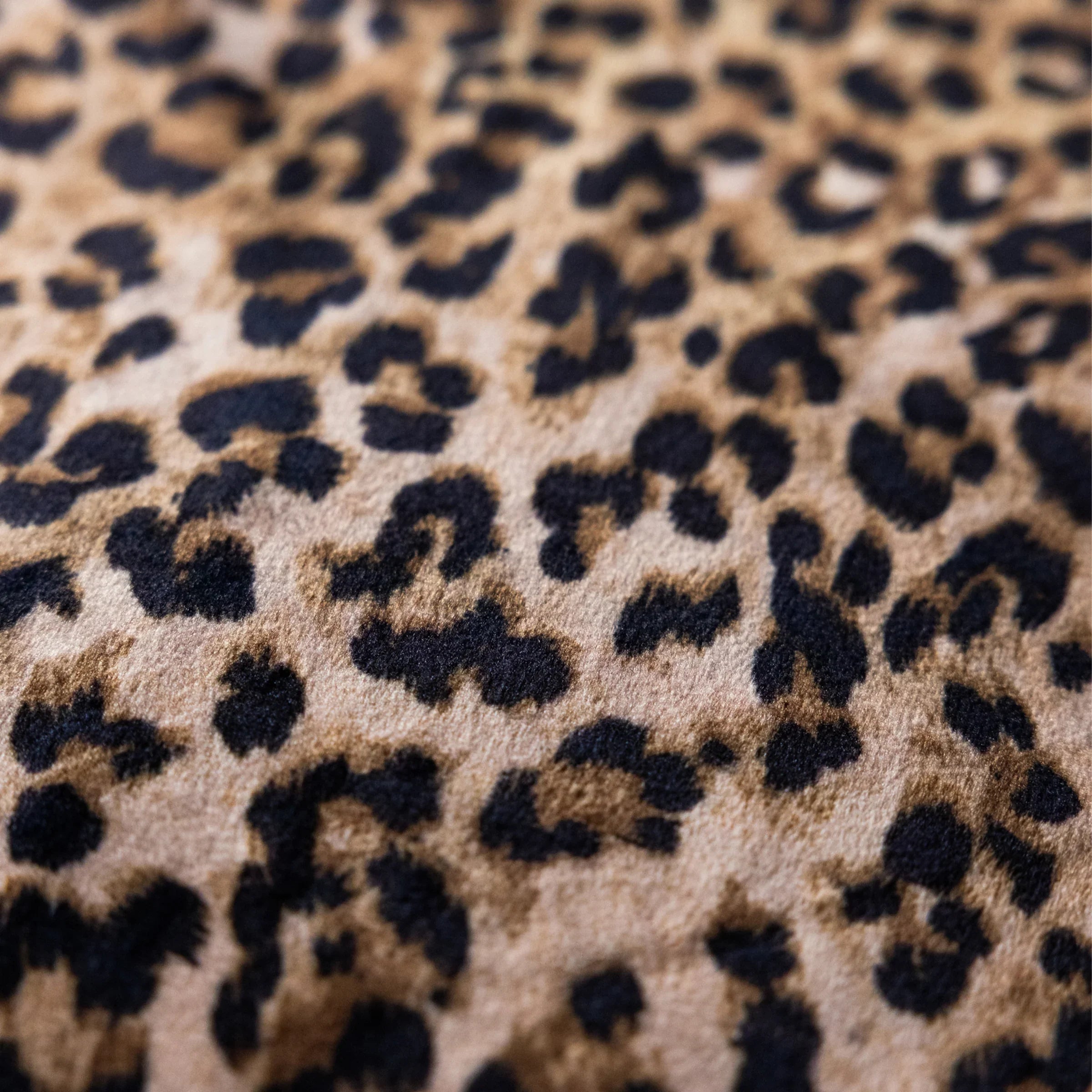 Rockett St George (Riva Home) Bedspread/Throw LEOPARD LOVE VELVET TASSELLED THROW - BLACK  by Rockett St George