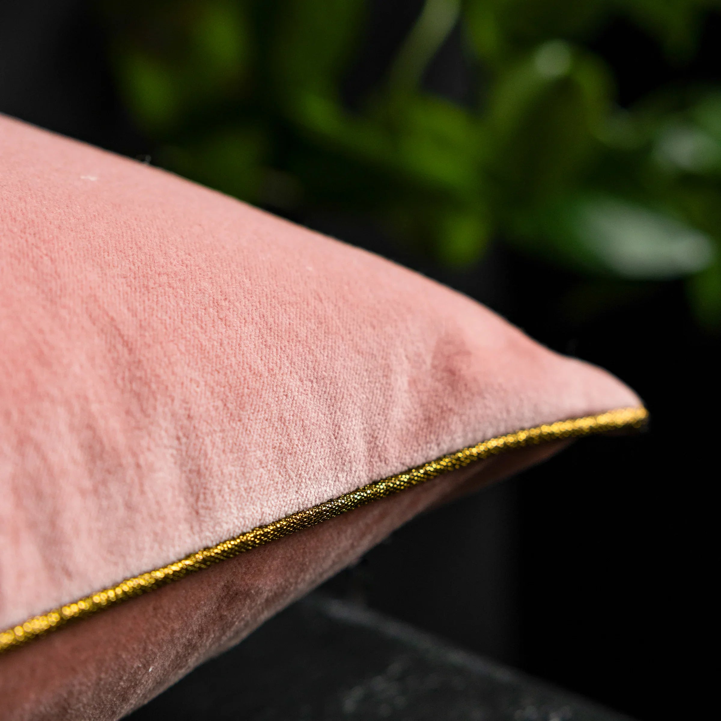 Rockett St George (Riva Home) Cushions BEADED LOVE BIRDS VELVET CUSHION ROSE  by Rockett St George