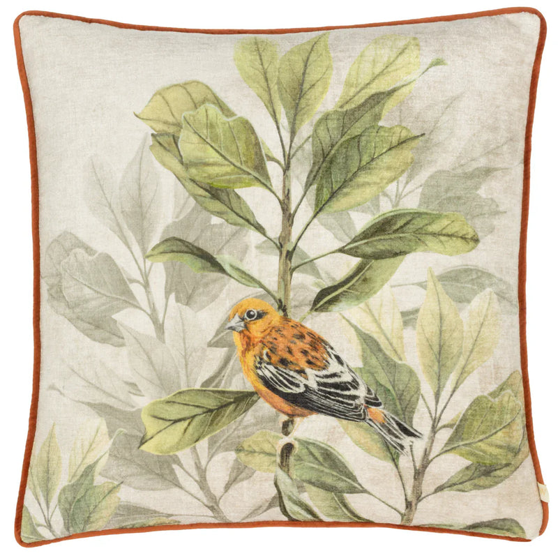 KIELDER FOREST SWINLEY PRINTED CUSHION CREAM by Wylder