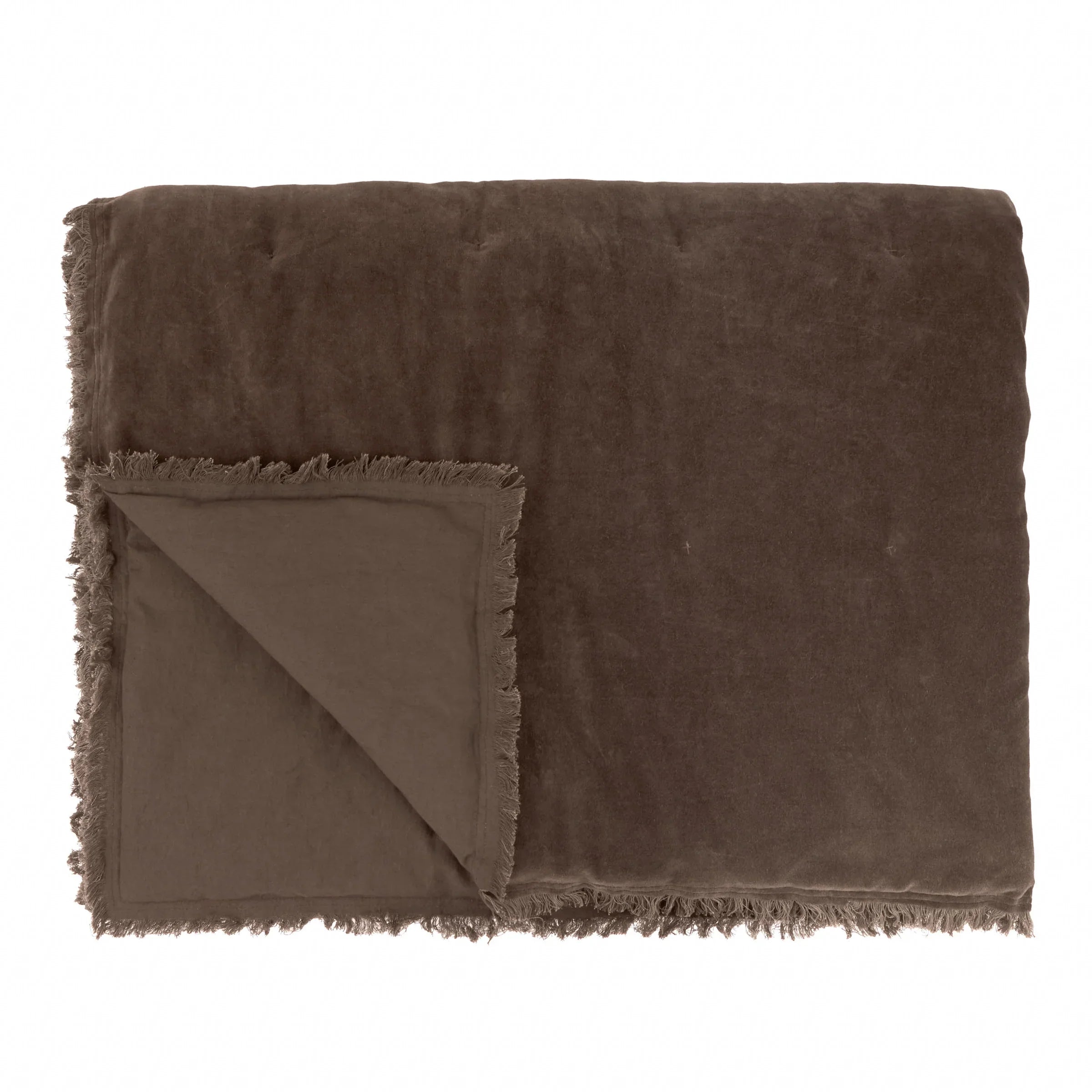 Yard (Riva Home) Bedspread/Throw JAYE COTTON VELVET FILLED BEDSPREAD by Yard