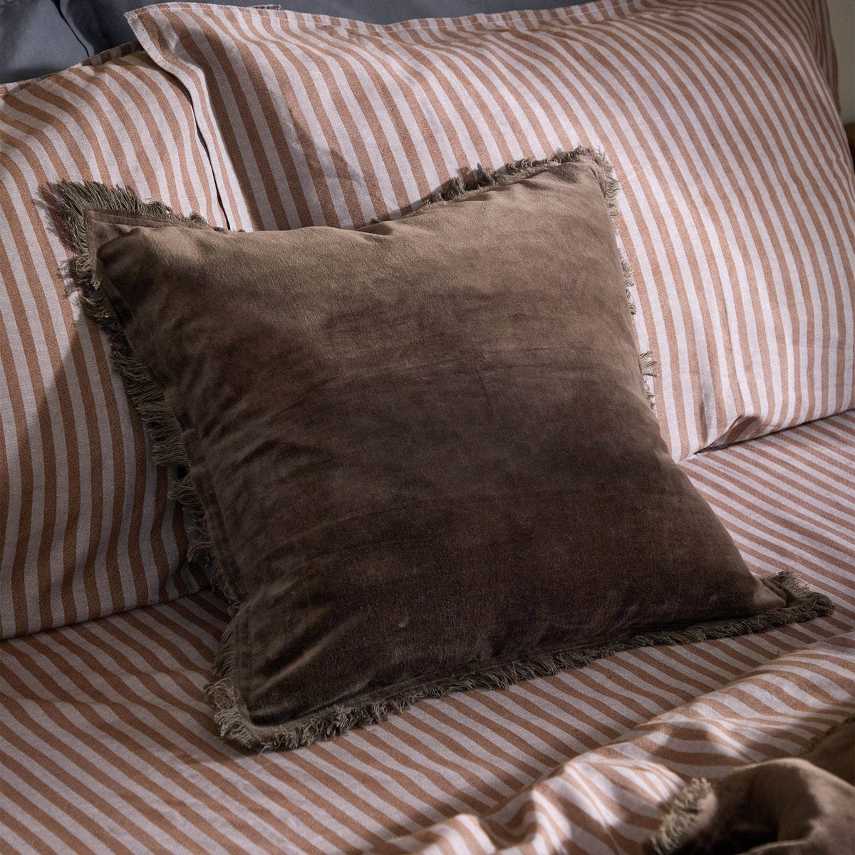 Yard (Riva Home) Cushions Bitter Chocolate JAYE COTTON VELVET CUSHION by Yard